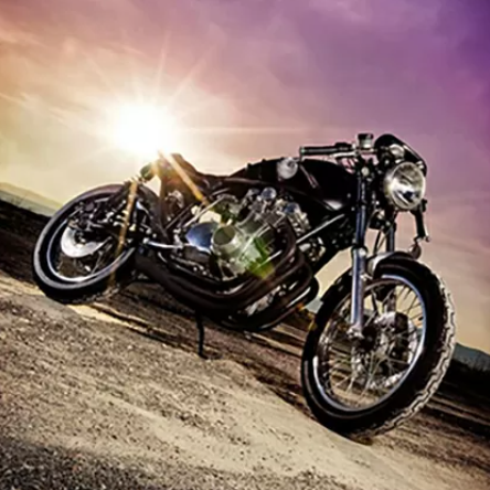 Harley Davidson - motorcycle parked 